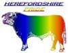 Hereford Pride 2013