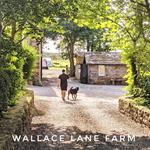 wallace lane farm wigton
