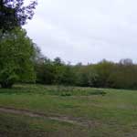 hilly fields colchester