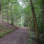credenhill woods hereford
