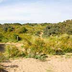 berrow sand dunes weston super mare