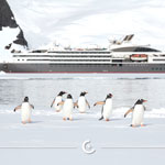 antarctica cruise 2022
