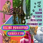 feline purrrfect 2018