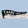 trans pride brighton 2015