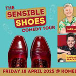 the sensible shoes comedy tour 2025