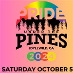 pride under the pines pride festival 2024