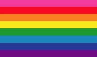 eight coloured raindow flag