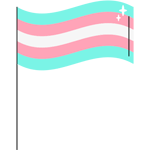 trans flag