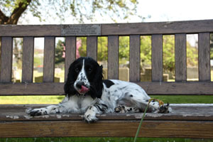 >Lady on a park bench