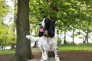 lady posing