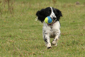 lady running