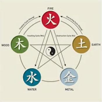Ayurvedic concepts