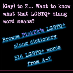 LGBTQ+ slang dictionary