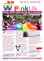 PinkUk's November Newsletter