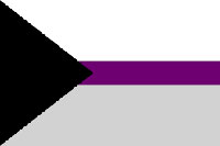 Demisexual flag