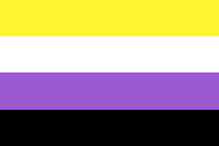 Nonbinary flag