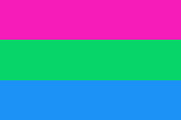 Polysexuality flag
