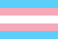 Trans flag