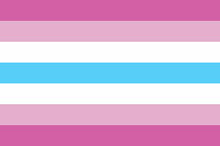 femboy flag