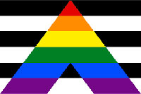 gay straight flag