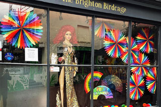 Birdcage, Brighton, Shop