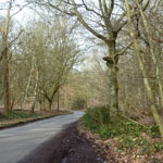 hills wood bottrells lane amersham