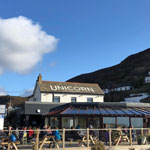 the unicorn porthtowen