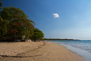 Photo of Playa La Macha Beach