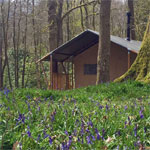 low wray campsite ambleside