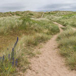 braunton burrows braunton