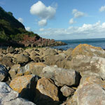 petitor beach torquay