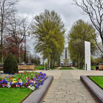 queens gardens hull