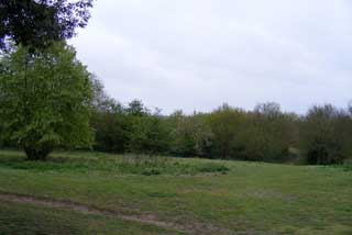 Photo of Hilly Fields