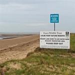 st osyth beach clacton on sea