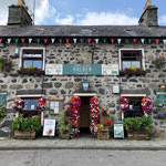 golden fleece inn porthmadog