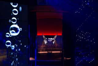 Photo 2 of The Shadow Lounge