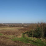 childwall woods liverpool