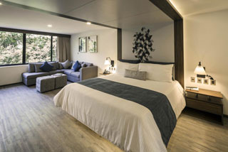 Photo 2 of FlowSuites Condesa