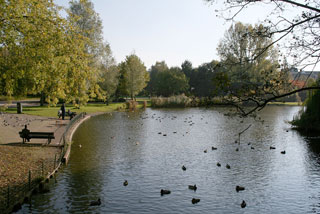 Photo of Het Oosterpark