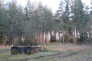 Photo of Slaley Forest Picnic Site/B6306