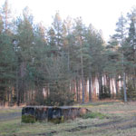 slaley forest picnic site/b6306 hexham