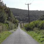 felley mill woods mansfield