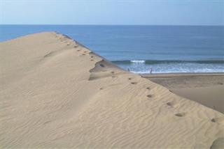 Photo of Maspalomas Beach & Sand Dunes