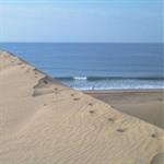 maspalomas beach & sand dunes playa del ingles