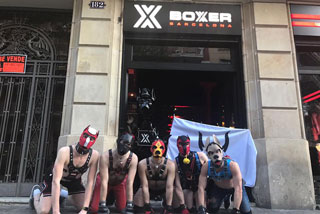 Photo of Boxer Barcelona