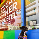 pic of togayther hostel bkk bangkok