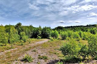 Cross Lane Woods, Gateshead gay cruising