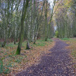 havannah nature reserve newcastle