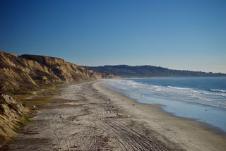 Photo of Black's Beach