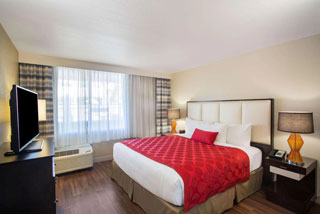 Photo 2 of The Hotel Venezia
